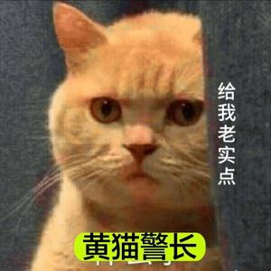黄猫侦探头像