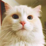 MeR_8的个人资料头像