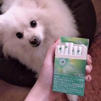 螃蟹八大步头像