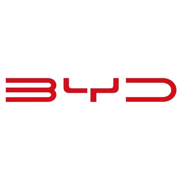 byd海洋重庆瑞意衡头像