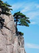 居微的个人资料头像