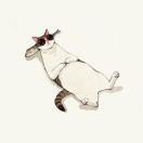 微寒的个人资料头像