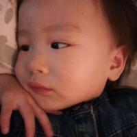 养只猫取名叫狗356头像