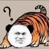 yyyy.头像