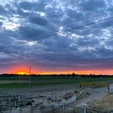 幸福拥有一切头像