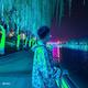 王栋栋373头像