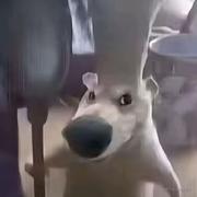 姓洪的的个人资料头像