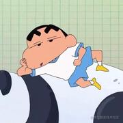 写完代码在睡觉的个人资料头像