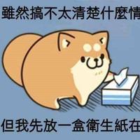 伴心于沵411头像