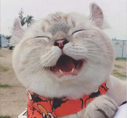 白捡的知识的个人资料头像