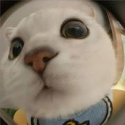 你的代码有BUG的个人资料头像