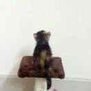 愉梦淋的个人资料头像