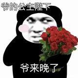 1骑乌龟上高速1头像