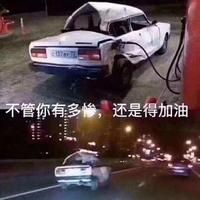 自在的要努力活着头像