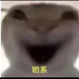 郝致贤头像