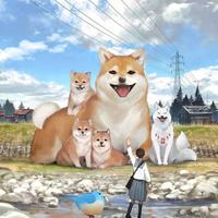 北京的军的头像