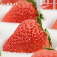 聪明的蛋糕3Wm头像