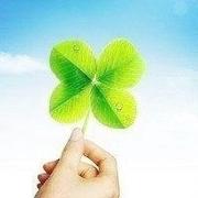 四叶草17的个人资料头像