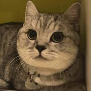 天下615的个人资料头像