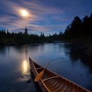 arcanique的个人资料头像