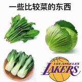 勇敢的百香果xZh头像