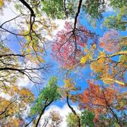 子殊178的个人资料头像