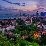 老张265的个人资料头像