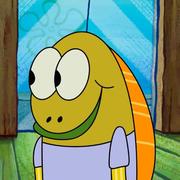 快乐小熊713的个人资料头像