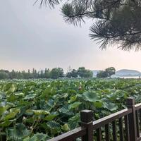 沉浮由谁头像
