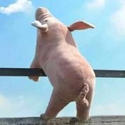 云儿飘的个人资料头像