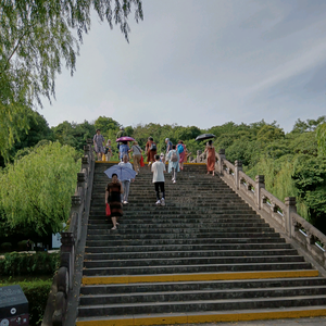 老张爱旅游（游不明白）头像