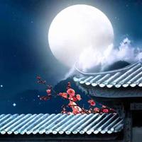 青衣染雪445头像