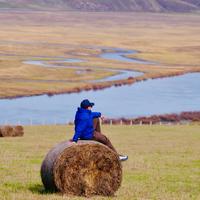 unjuanable的一块腹肌头像