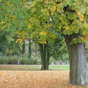 一蓑烟雨任平生723的个人资料头像