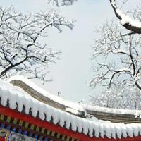 手机用户95703612991头像