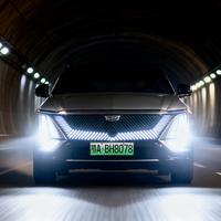 周星星9527童鞋头像