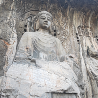 浪漫的鱼儿90头像