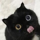 梦幻圆月UrS头像