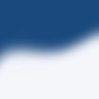 机智的松鼠J06头像