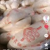 用户3447199392425头像