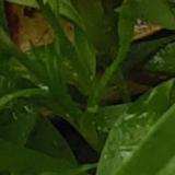 稀罕男头像