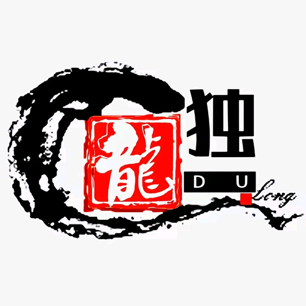 独龙视野头像