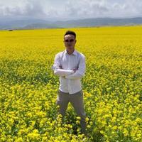 记忆中深埋头像