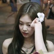 安然蒲公英的个人资料头像