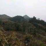 晓晓爱小兜头像