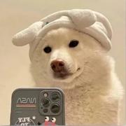 竹了的个人资料头像