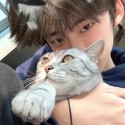 小猪屁屁816的个人资料头像