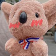 要没时间了553的个人资料头像