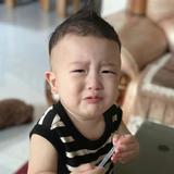Lecoeur35179269头像