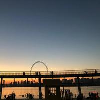 正大光明糯米eGa头像